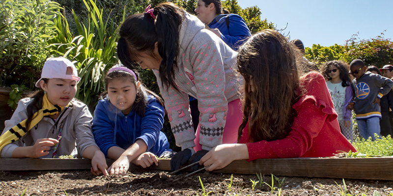 Students planting flowers in a school garden